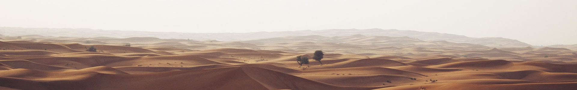 ؽܻƼ޹˾